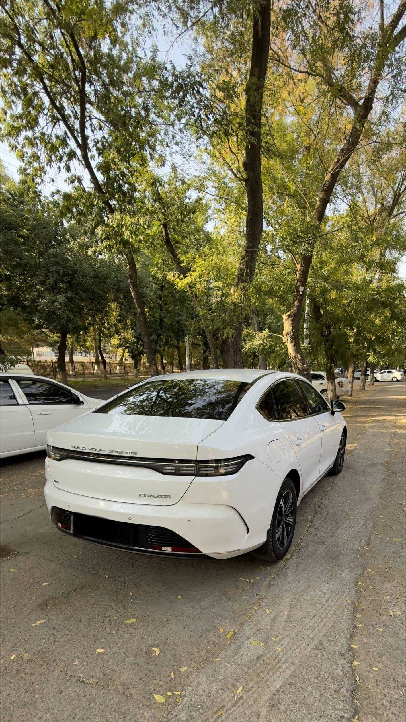 BYD CHAZOR Full 4 Flagship 120km yuradigani