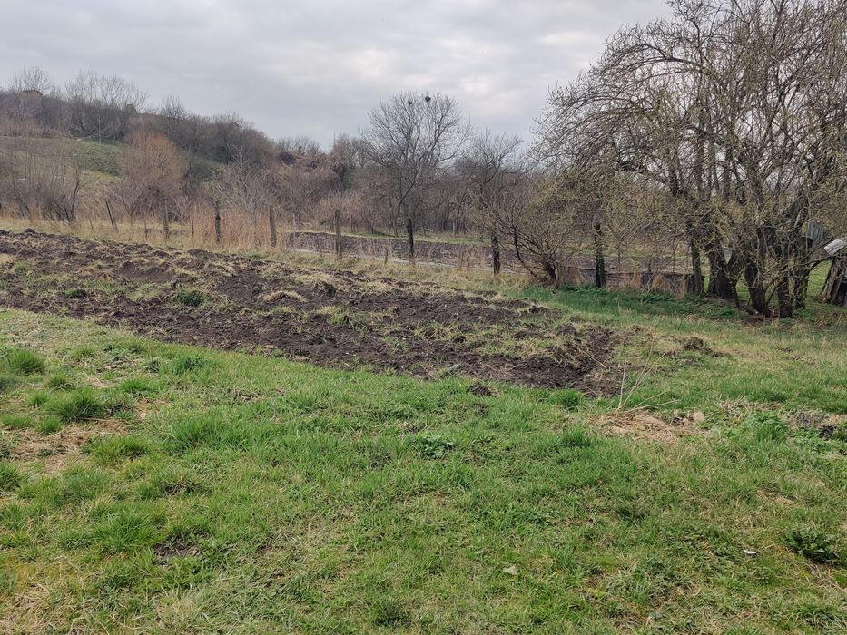 Vand case care au curte comuna