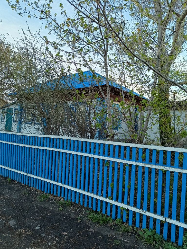 Продаю дом с овощехранилищем в селе Макинка