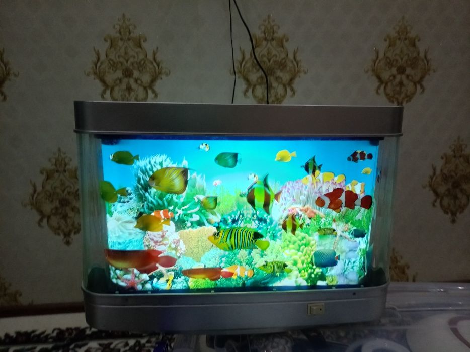 Svitilnik balikchalik