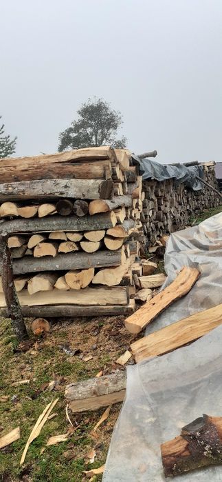 De vânzare lemne de foc esență fag 10 metrii ster