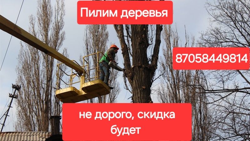 Пилим деревья, не дорого, скидка будет!