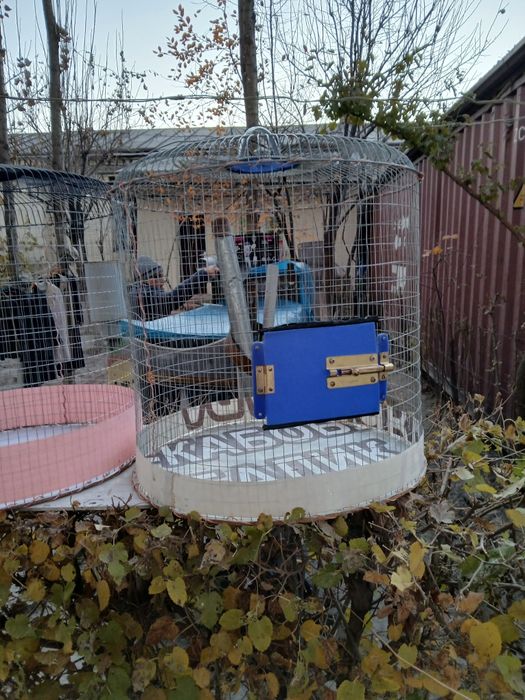 Клетки для попугаев