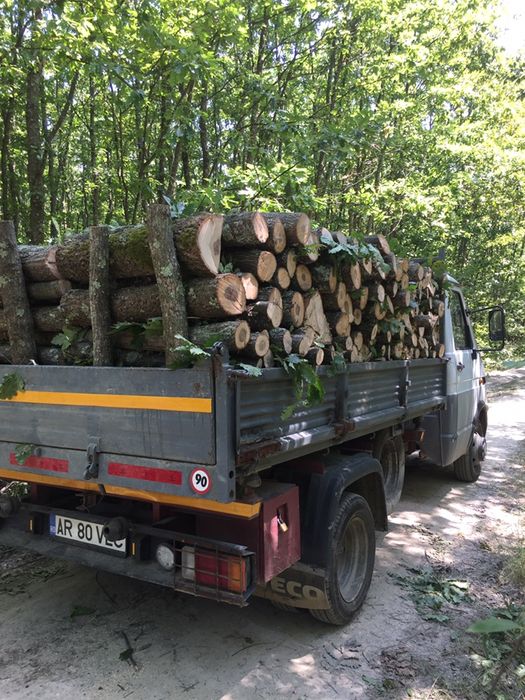 Lemne pentru orice familie