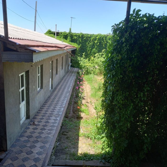 Toshkent tumani Ko'k Terak da Yer sotiladi