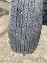 265/55 R 19 Dunlop Grandtek WTM3