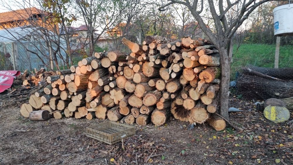 Lemne Smeura salcâm și carpen