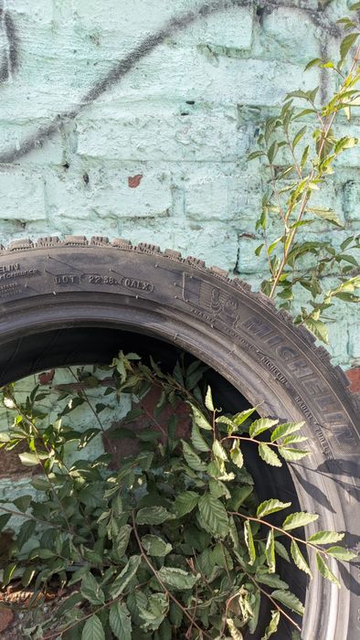 Продам резину зимнюю шипованную MICHELIN