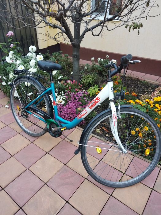 Biciclete preț, 290 roni