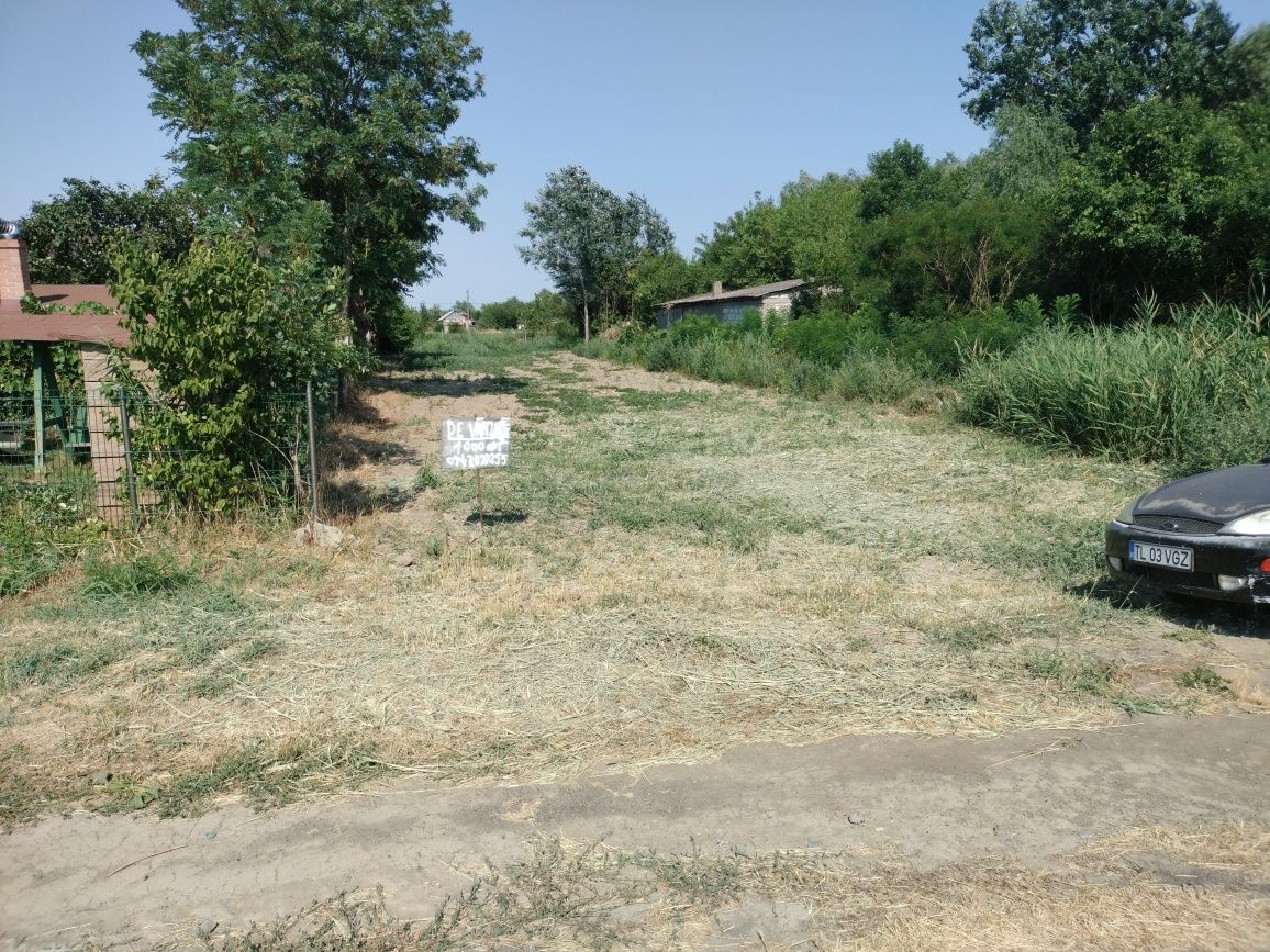 Vând teren 1000 m² Tudor Vladimirescu