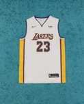 Maieu Nike Dri Fit Lakers NBA