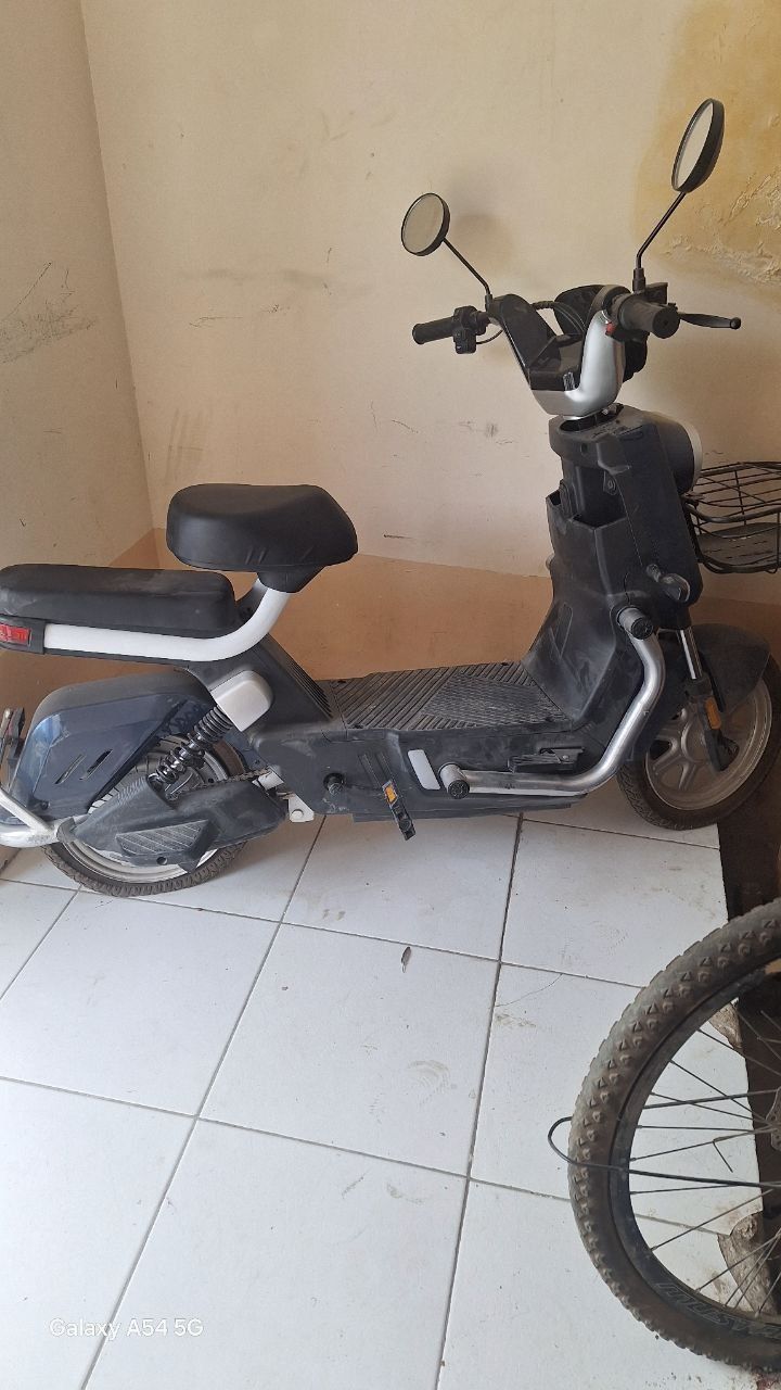 Skutor yangi hali 1 oy buldi
