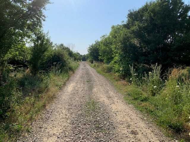 Teren 1000 mp  intravilan Tancabesti Snagov