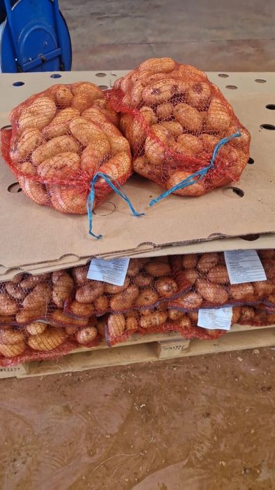 Cartofi diferite sortimente (APELATI)