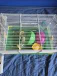Vând cusca de hamster