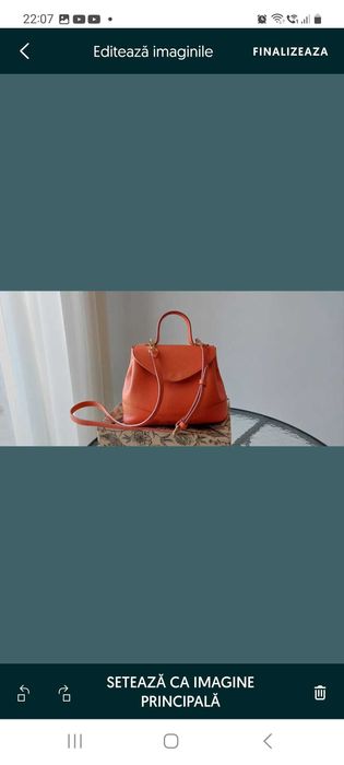 Laura Maxim geanta Mina medie