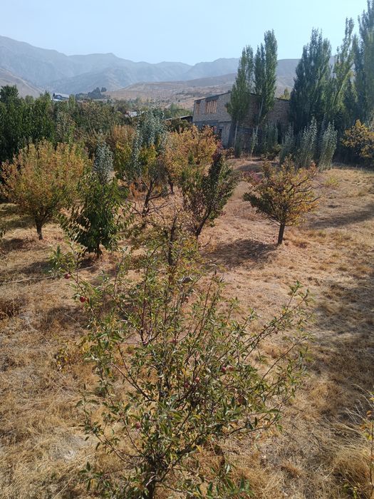 QRUQ YER SOTLAD o'zmnikiy, shoshilinch bilan