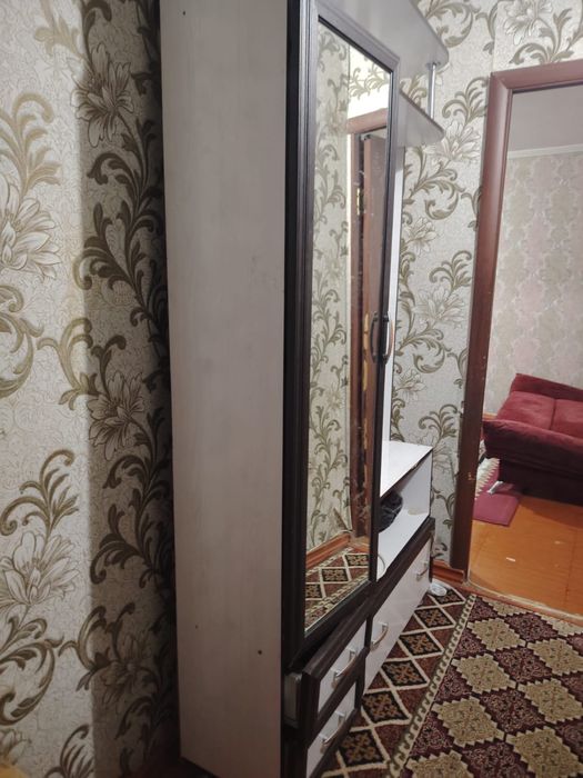 Прихожая и диван раскладной