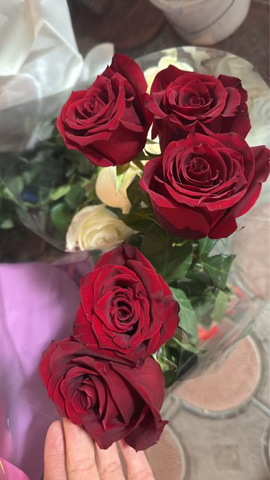 Свежие цветы . Штучные и букеты. Распродажа