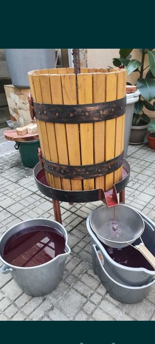 Struguri albi și roșii ( must)