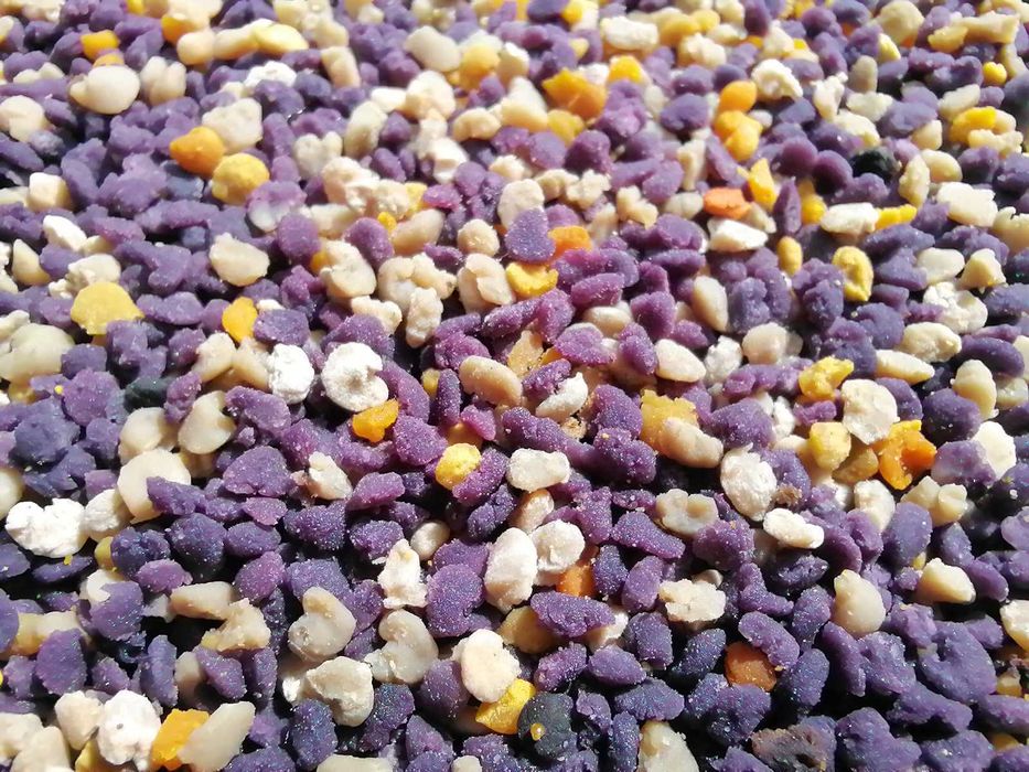 Пчелен прашец (реколта 2025г.)