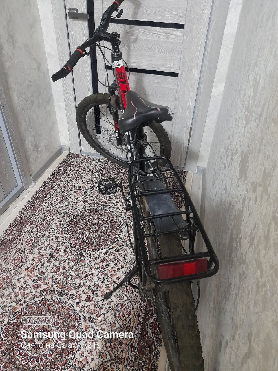 Holati Alo darachadi velik