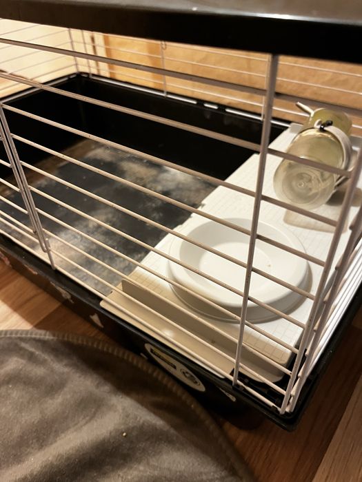 Голяма Клетка за морски свинчета или зайци