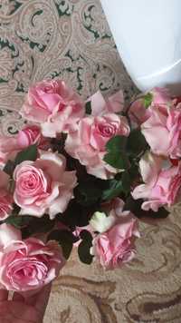 Цветы Розы  от ROMEO