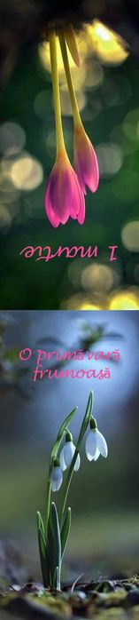 Semne de carte magnetice !