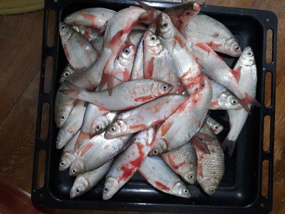 Балык fish рыба шт 100,200