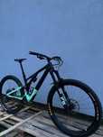 Specialized stumpjumper EVO