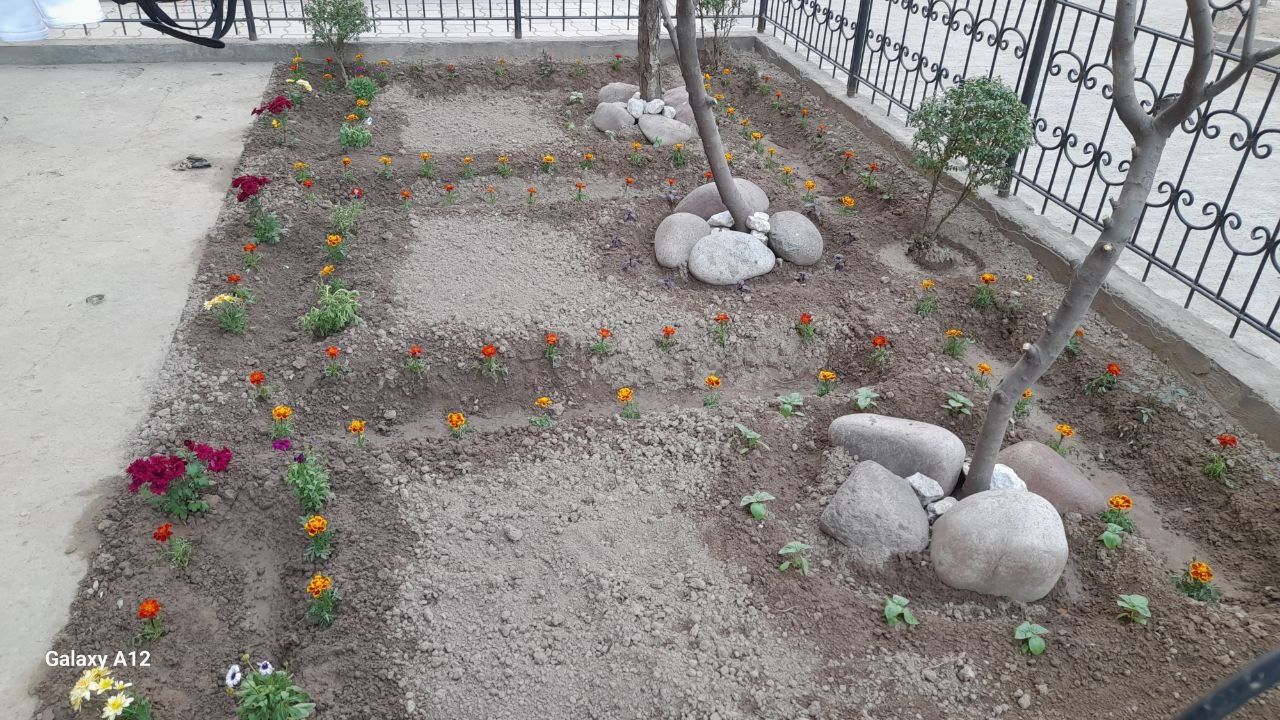 Садовник  и облагоустройство дворов