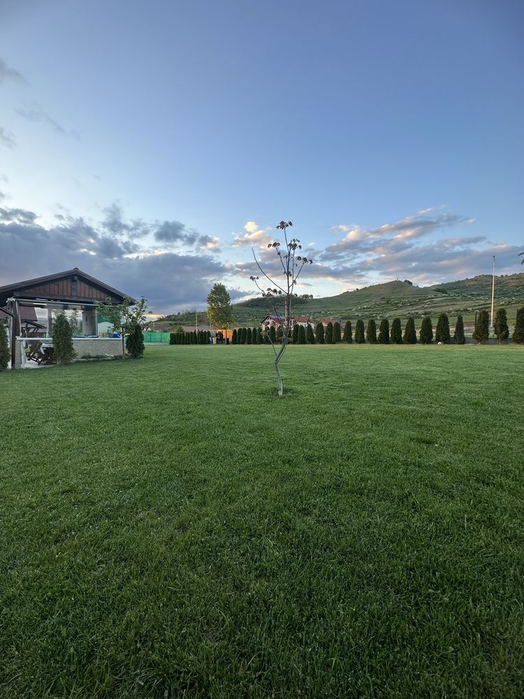 OFERTĂ Casa de vanzare Teleac