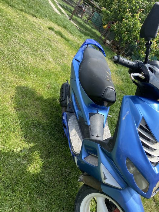 scuter peugeot speedifght