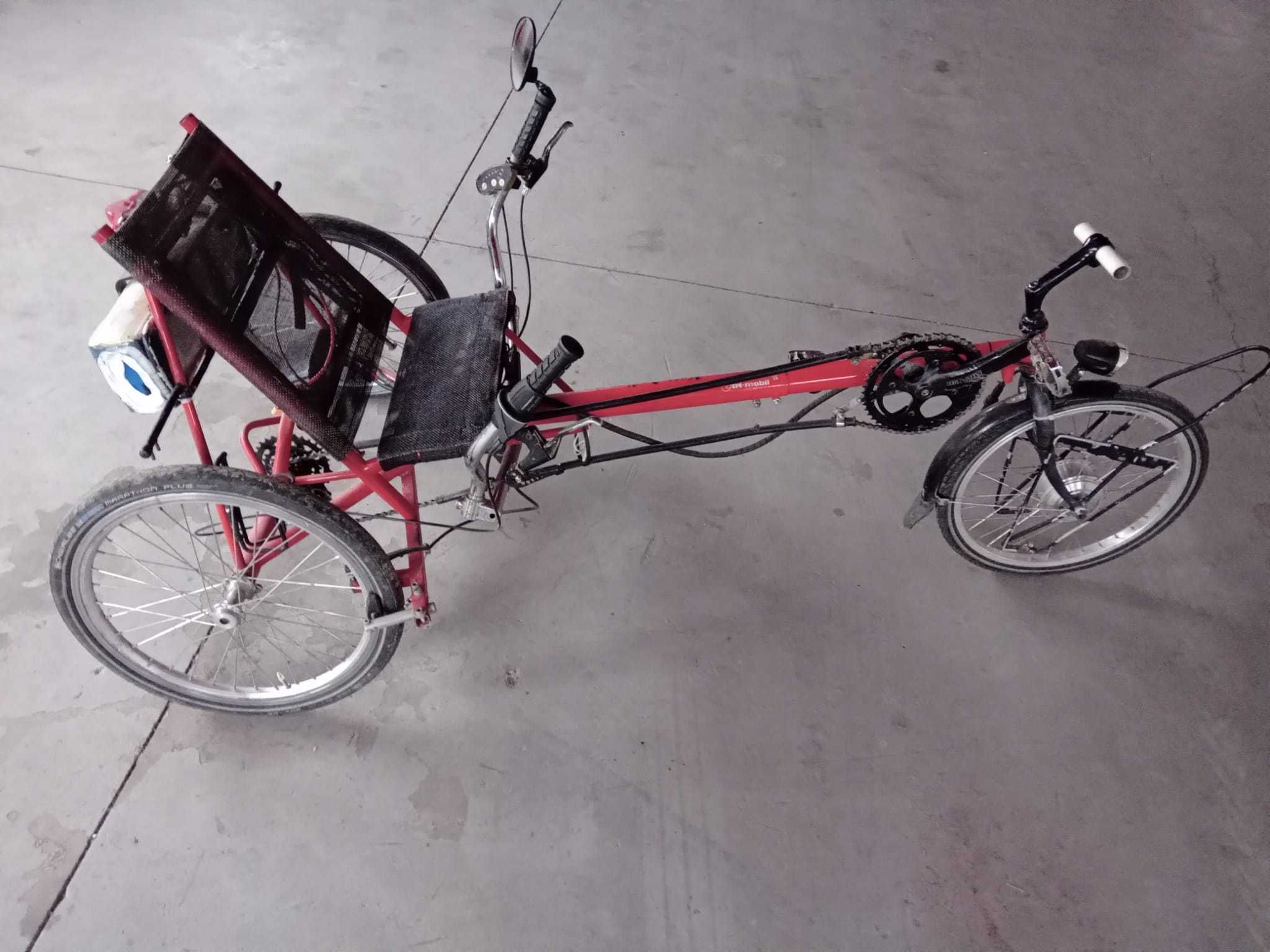 Recumbent  Electric Hase