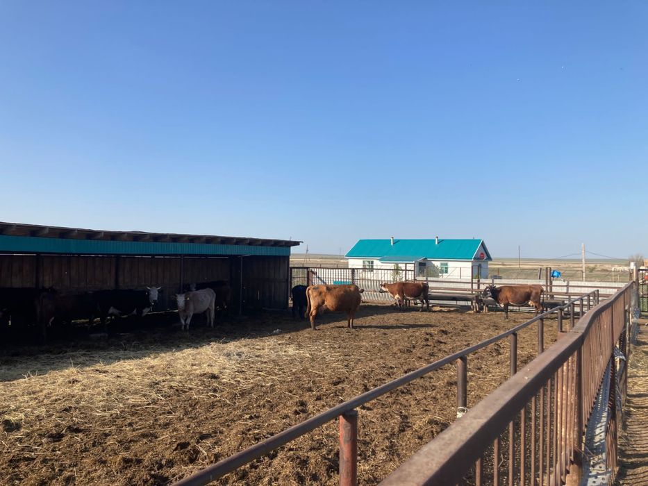 Крестьянское Хозяйство продам