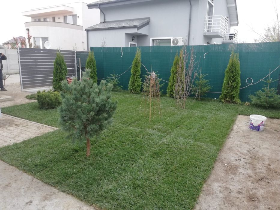 Amenajari gradini gazon rulou  și plante ornamentale