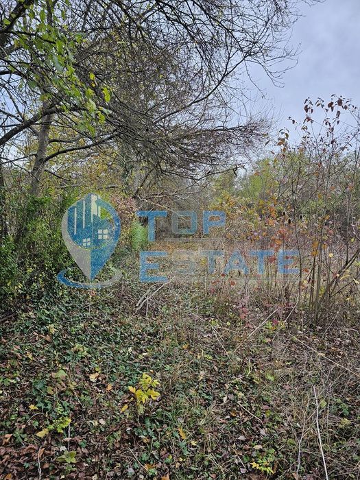 Продава се Парцел в с. Пушево, Област Велико Търново - 1150 кв.м за 10 €/кв.м - Снимка #3