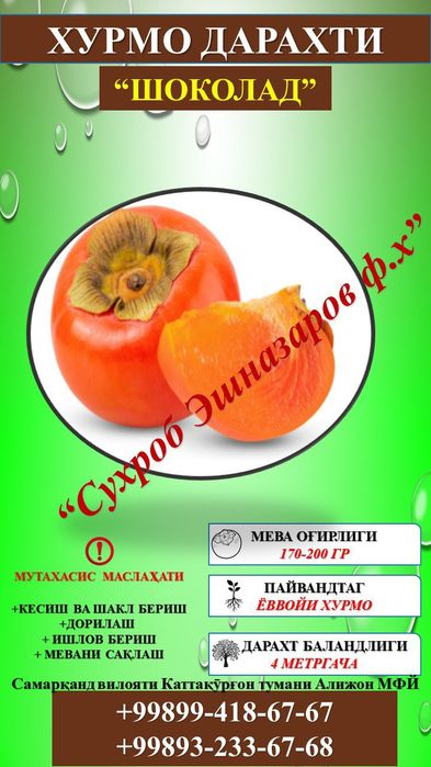 Мевали кўчатлар сифатли ва ишончли