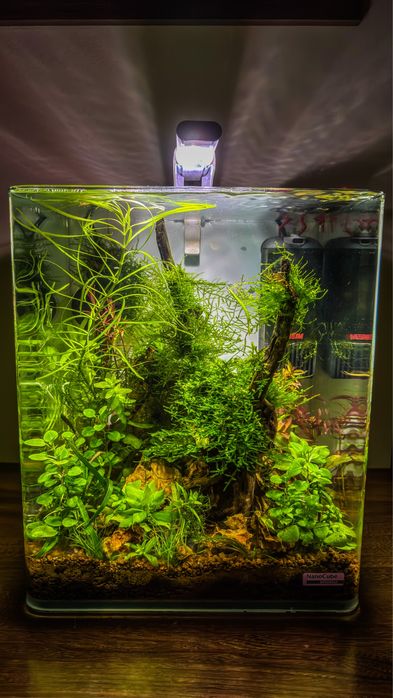 Acvariu cub Dennerle 20L