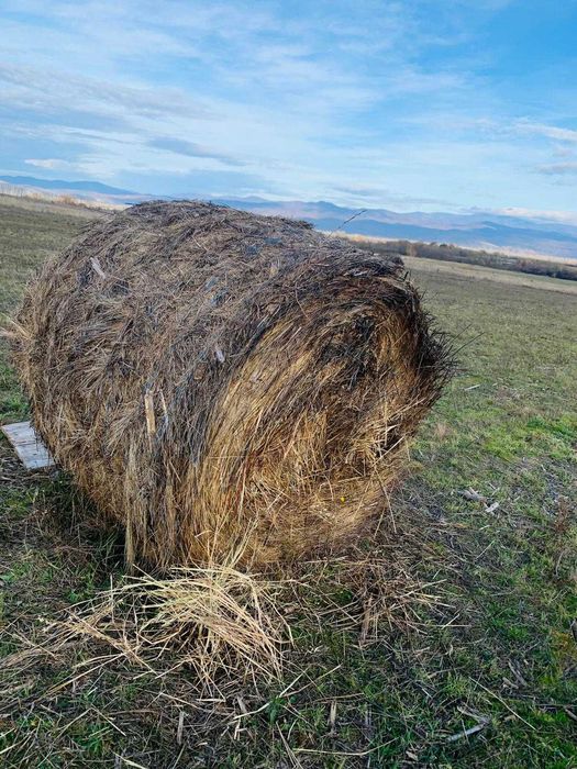 Baloti rotunzi de fan