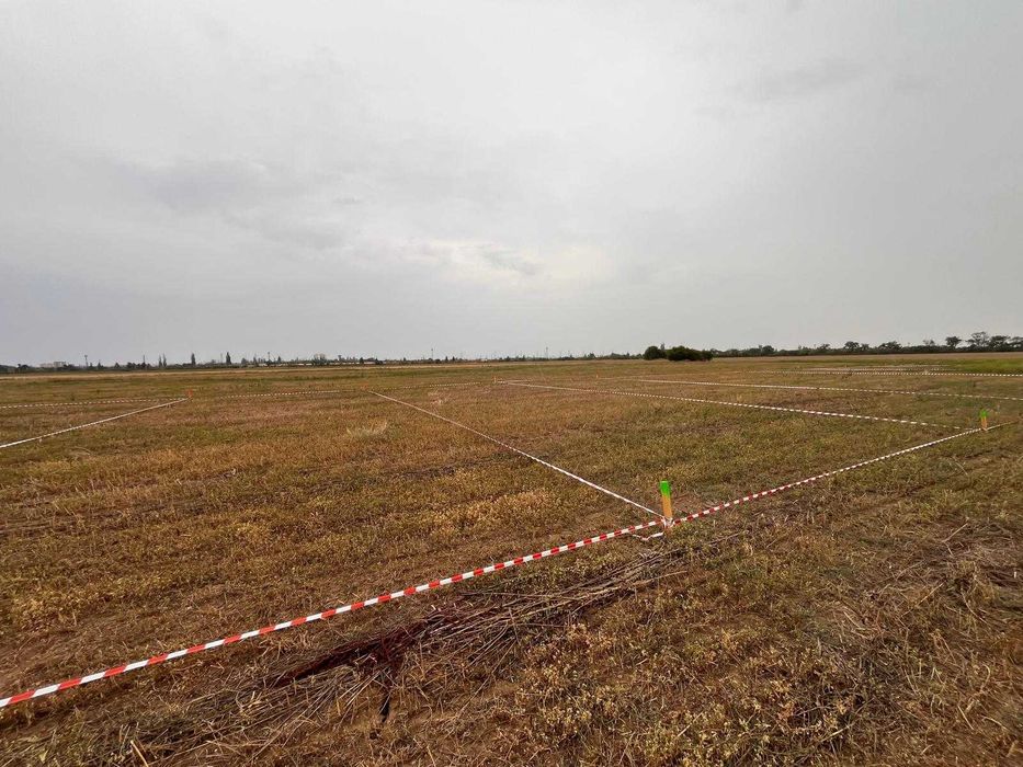 Loturi de grădini Ploiesti - direct proprietar
