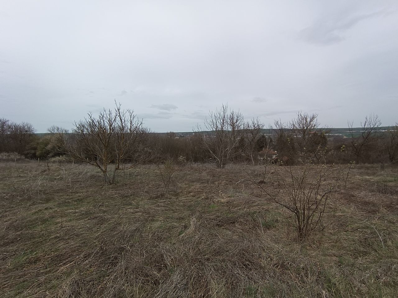 Продава се Парцел в Велико Търново, Акация - 1200 кв.м за 17 €/кв.м - Снимка #3