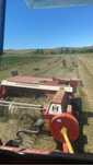 Presa international 430 D