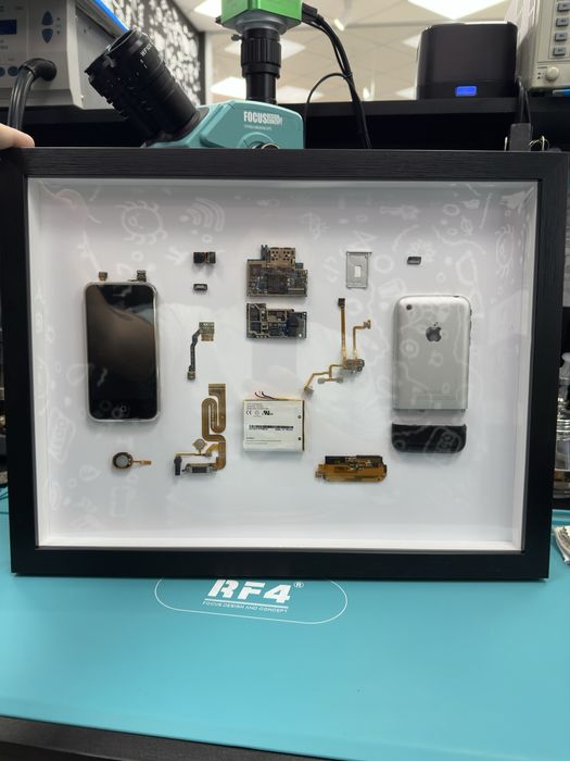 Картина аквариум