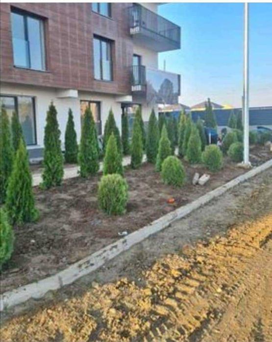 amenajari gazon si sparii verzi