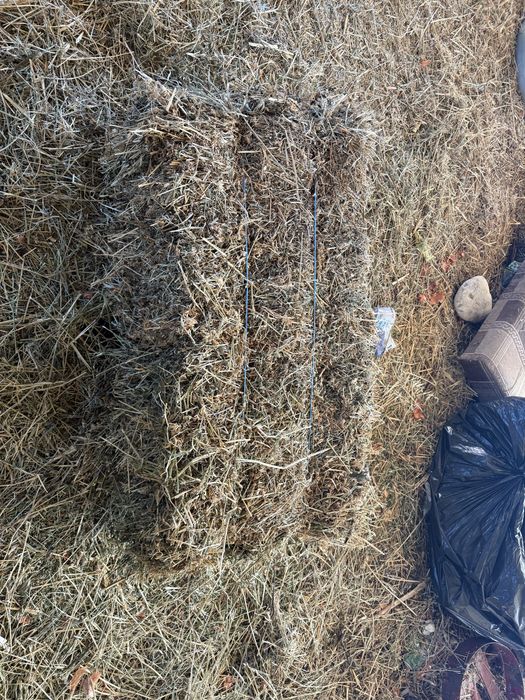 Baloti lucerna productie 2025