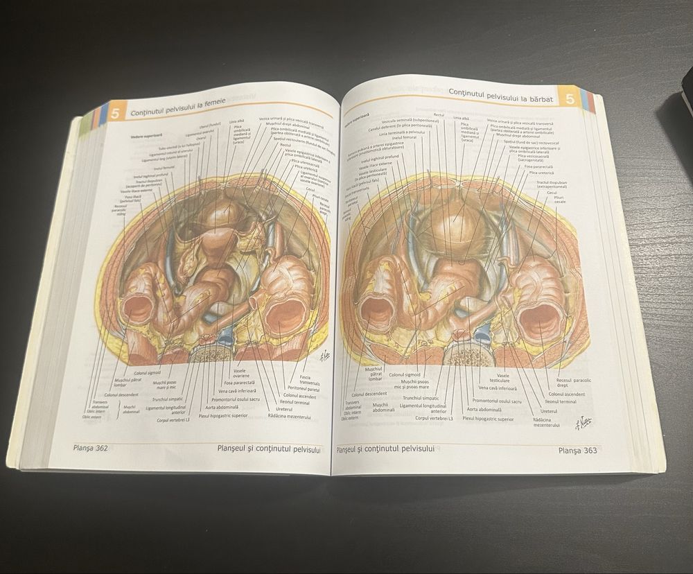Atlas anatomie Netter editia in romana medicina UMF