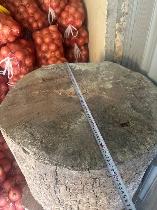 To'nka sotiladi yong'oqniki