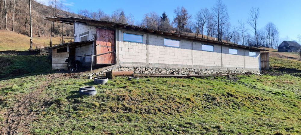 Teren de vanzare in Abrud jud Alba